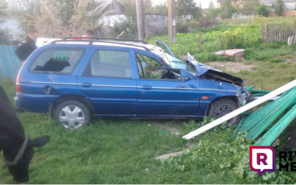 Скот гнали домой: в Ровенской области водитель влетел в стадо и сбил четырех коров (фото)