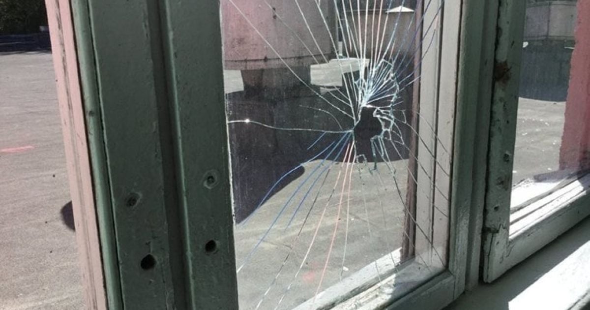 Все село живет в страхе: в Тернопольской области двое братьев избили ребенка и разгромили дом соседа