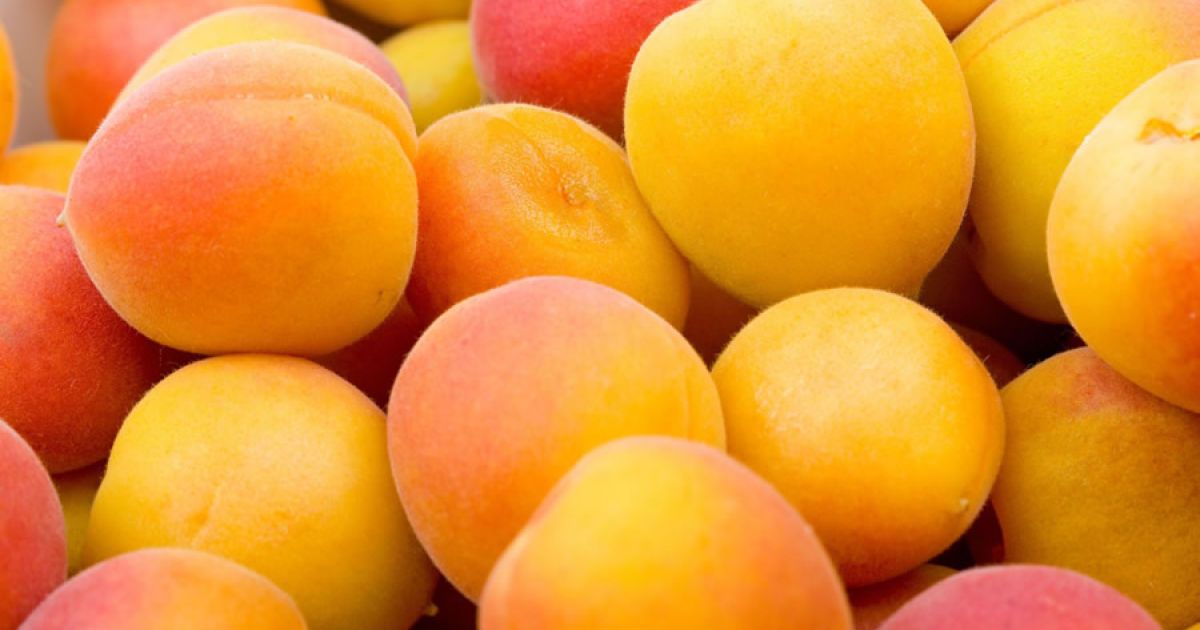 Блюда из абрикосов