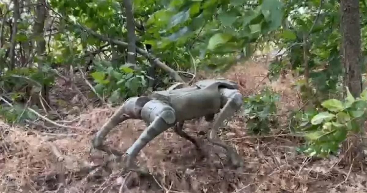 Собака-робот/bild.de