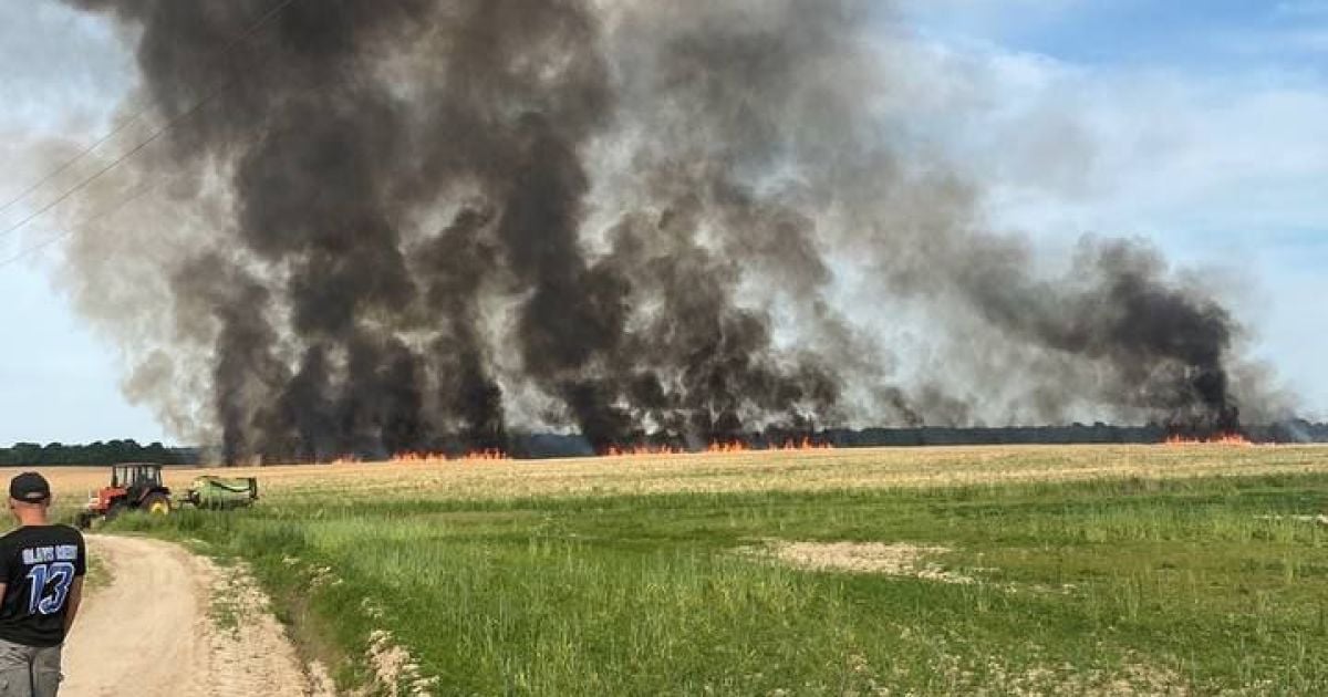 Поблизу Фастова горіло поле