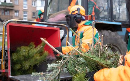 В Киеве заработали пункты утилизации новогодних елок: список адресов
