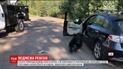 В США медведь разнес машину и уснул на сиденье