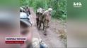 Росіяни стратили щонайменше 61 українського військовополоненого