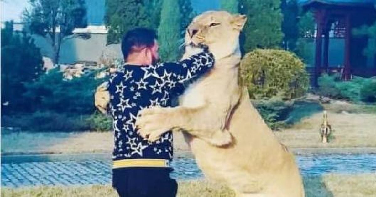 У Харкові депутат від ОПЗЖ задекларував у "рухоме майно" африканського лева