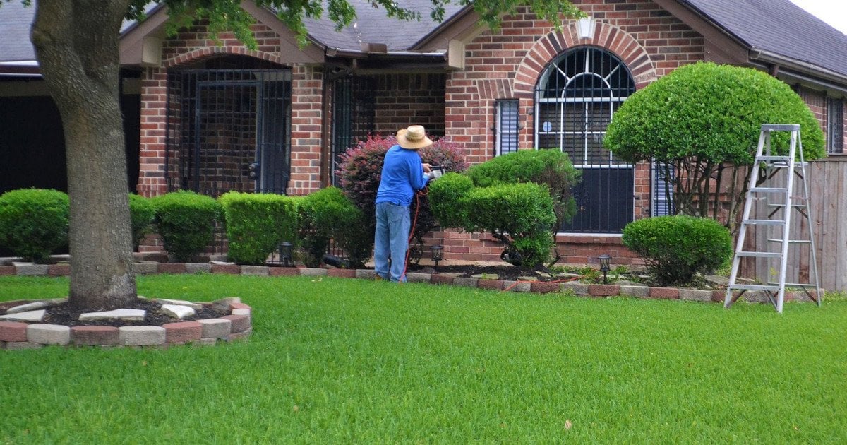 Ідеальний газон без бур’янів