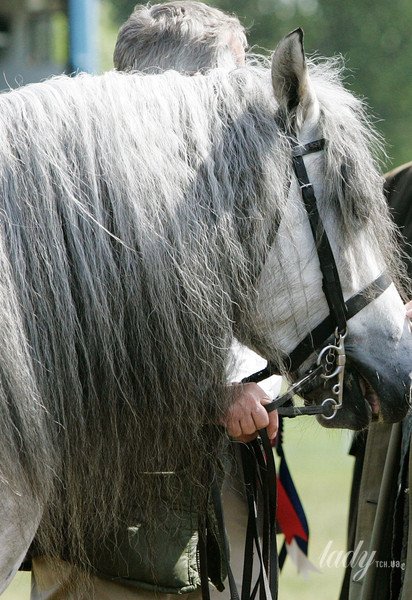 Королева Єлизавета II / © Getty Images