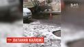 У Рівному перехожі зафільмували, як шляховики засипають асфальт у калюжі