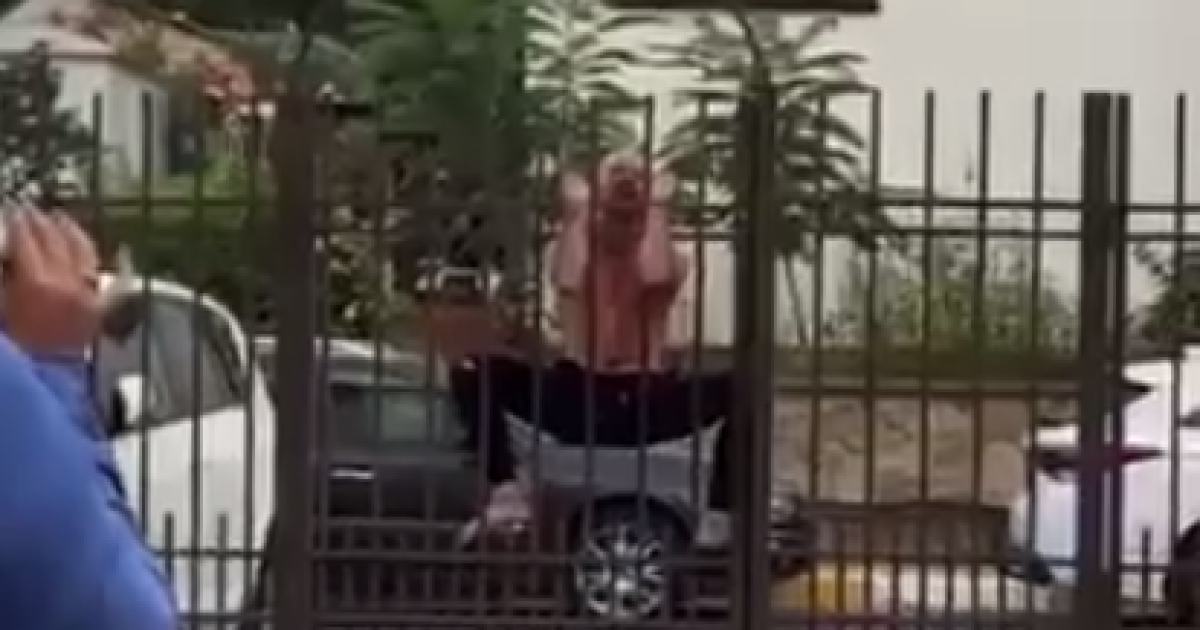 Скриншот с видео