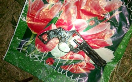 Рятувальники знайшли пістолет, з якого поліцейські могли вбити мешканця Кривого Озера