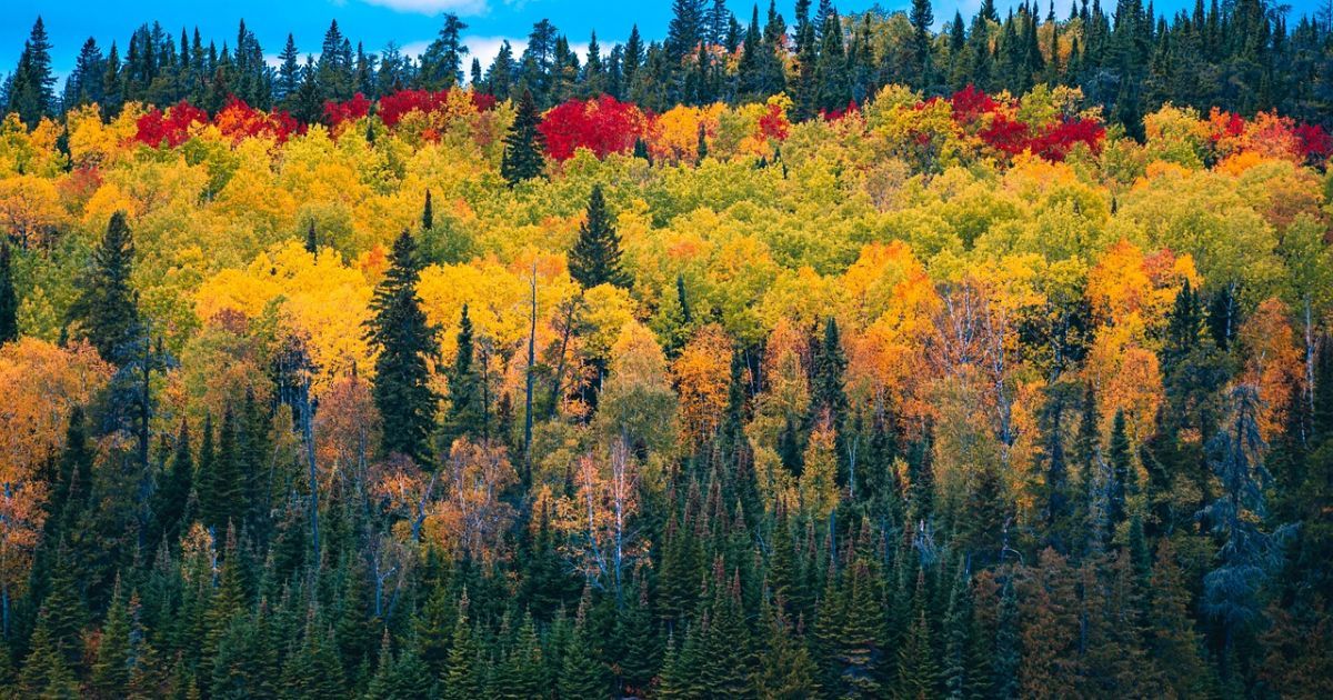 В Украине будет прохладно
