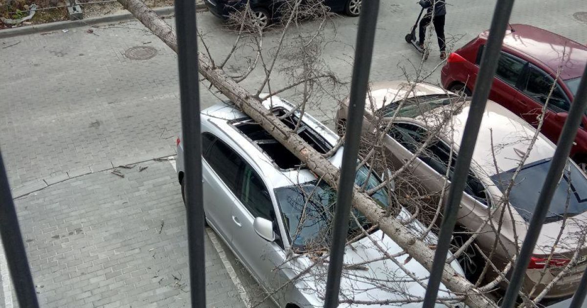 Піщана буря, повалені дерева та будинок, який обвалився: у Львові лютував буревій (фото, відео)