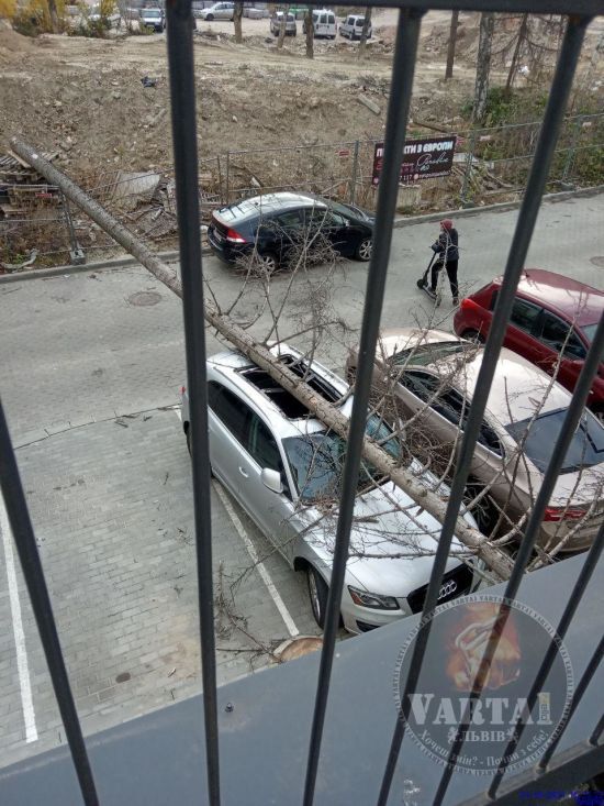 Піщана буря, повалені дерева та будинок, який обвалився: у Львові лютував буревій (фото, відео)
