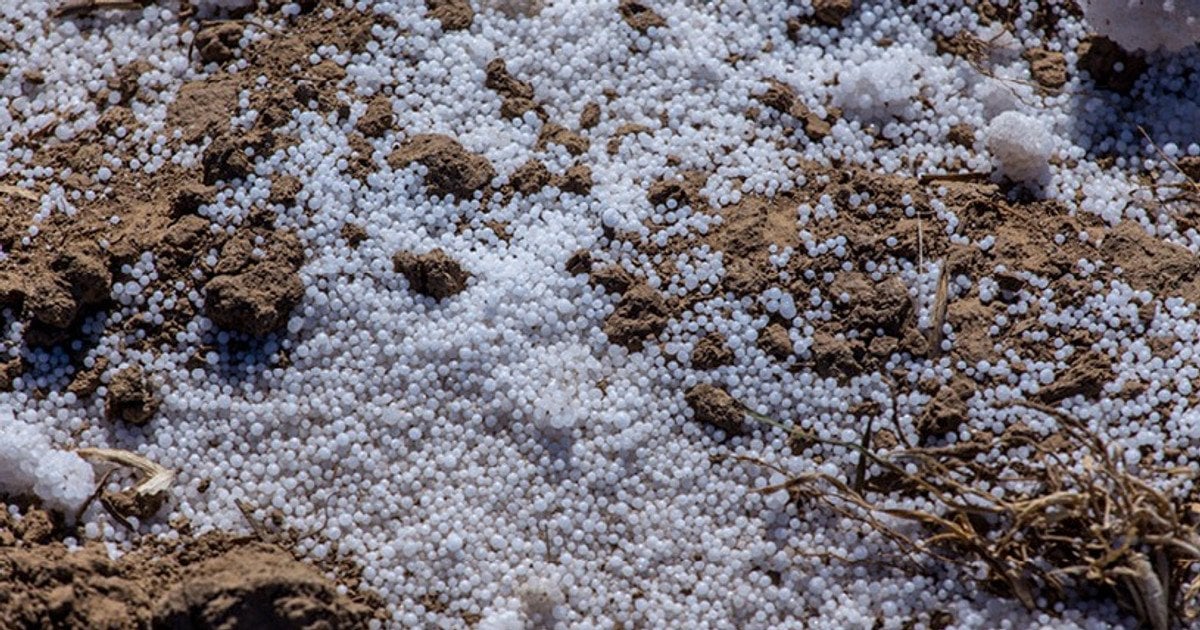 Добрива зимою