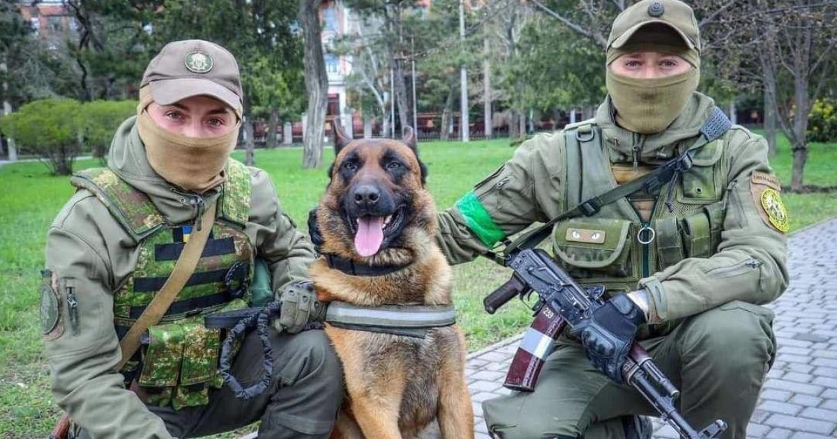 "Выучила команды на украинском и все понимает": к Нацгвардии присоединилась овчарка, которая служила в Росгвардии