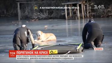 В угорському місті Пецель посеред замерзлого озера застряг лабрадор