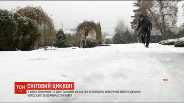 Cніговий циклон: синоптики оголосили штормове попередження у семи областях