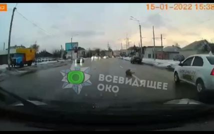 В Хакове таксист сбил собаку и просто поехал дальше (видео 18+)