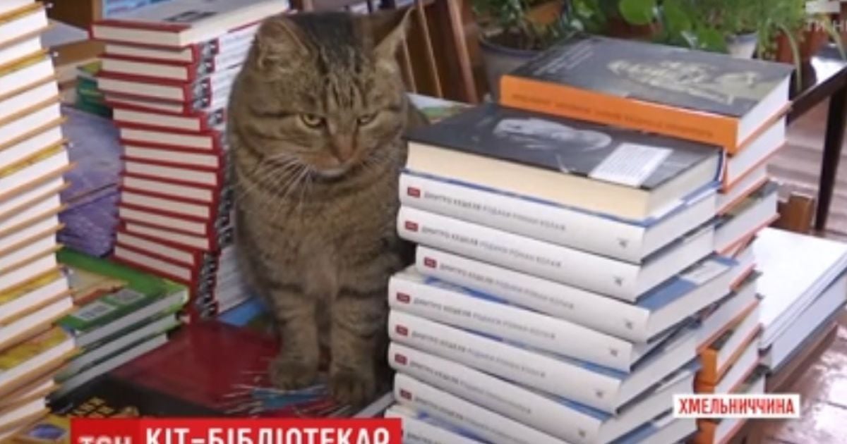 На хмельнитчине кот уже десятилетие 