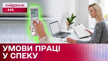 Праця у спеку! Яких норм зобов’язані дотримуватись роботодавці?