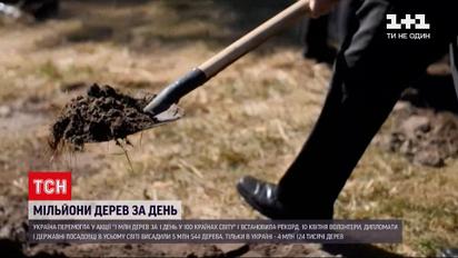 Новини України: в країні за день висадили понад 4 мільйони дерев