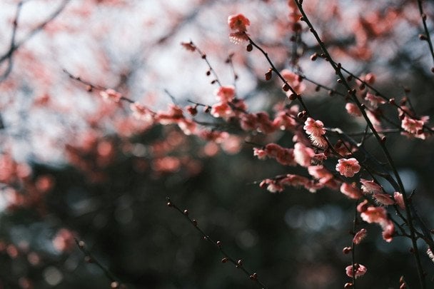 Народні прикмети 21 квітня / © unsplash.com