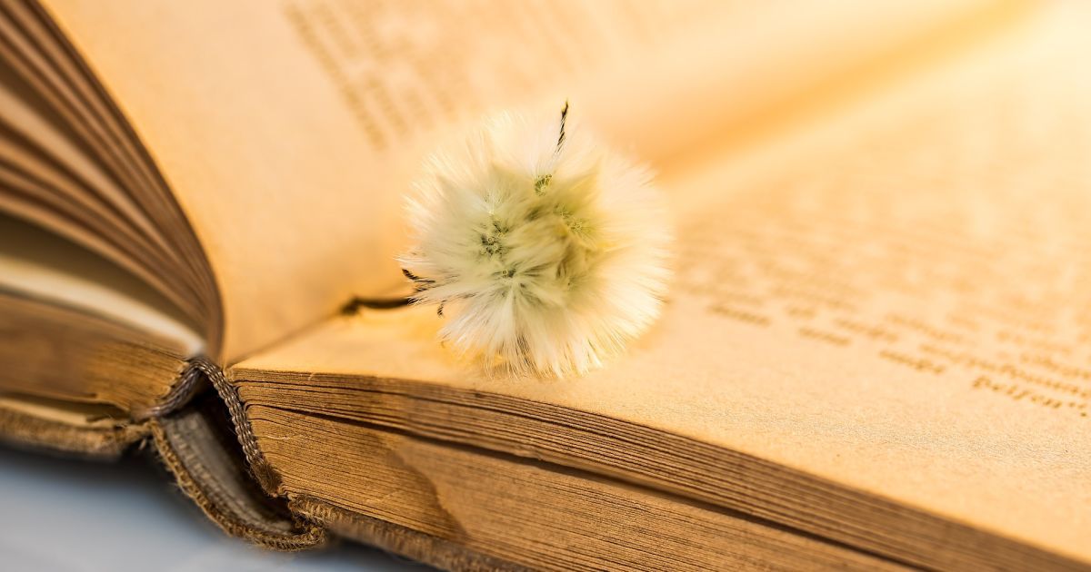 В Одесі представлять нове видання легендарних "Дванадцяти стільців"