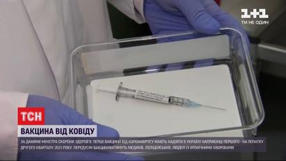 Старт вакцинации в Украине может выпасть на лето 2021-го года