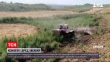 Новости Украины: в Донецкой области полиция уничтожила гектар посевов конопли посреди поля