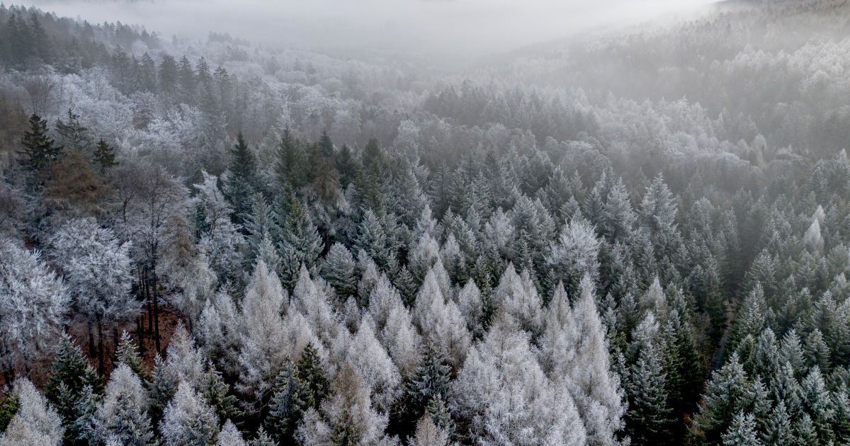 До України прийшла справжня зима