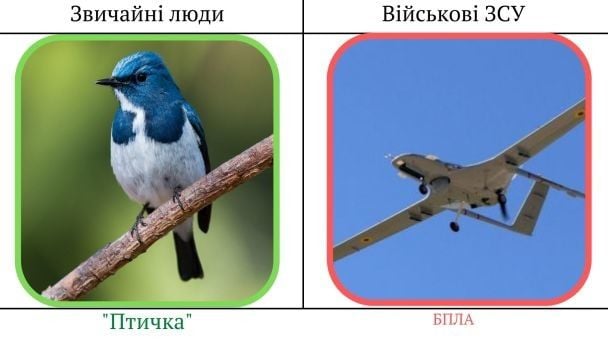 Військовий сленг ЗСУ / © ТСН.ua