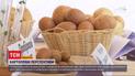 Из-за засухи фермеры начнут копать картошку на две недели позже