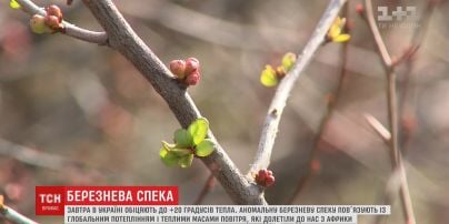 Мартовская жара: синоптики обещают +20 на термометре