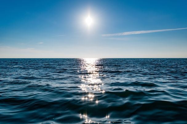 В океане обнаружили необычного хищника на глубине 8000 метров: как выглядит