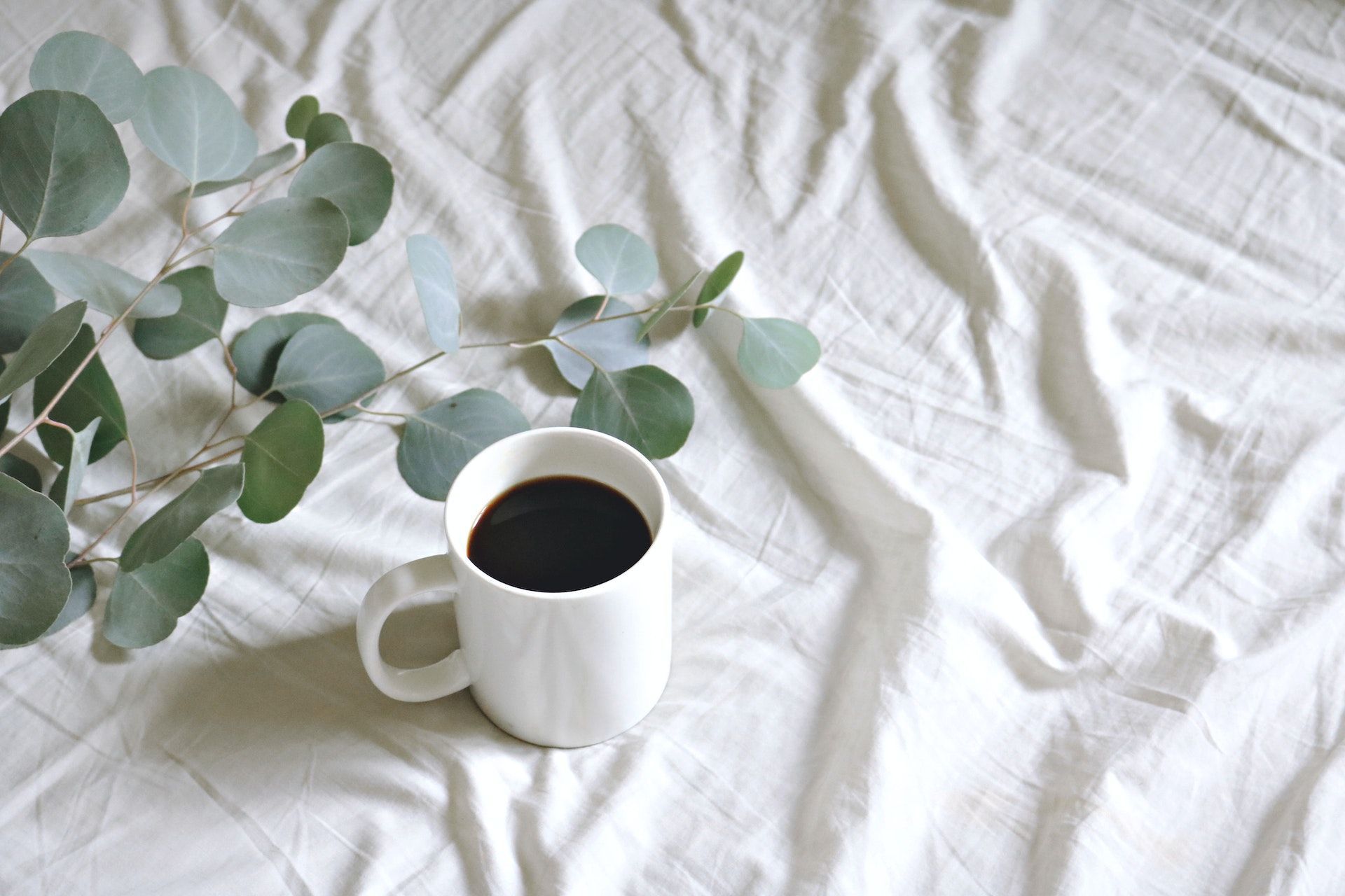 Пити каву перед денним сном потрібно / © Pexels
