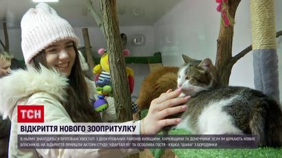Під Києвом з'явився незвичний притулок для тварин – до чого там кварталівці