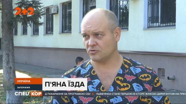 Медики в Запорожье пытаются вывести из комы 7-летнюю девочку