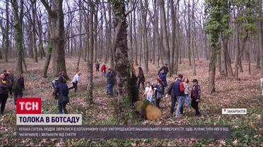 Большая уборка: горожане наводят порядок в ботсаду Ужгородского национального университета