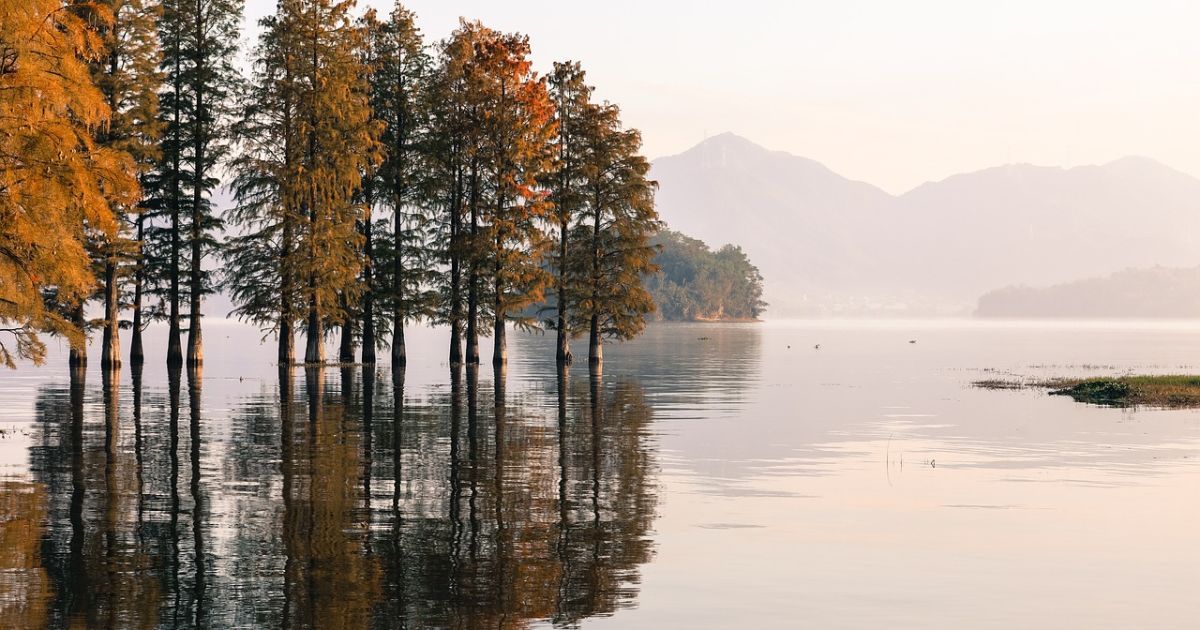 Суббота обещает быть теплой