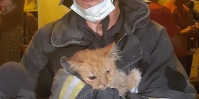 У Дрогобичі рятувальники з-під завалів будинку витягли кота