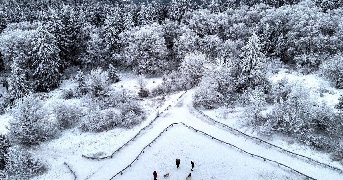 До України прийшли люті морози