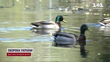 Птахи під загрозою вимирання! Якої шкоди Росія нанесла біосистемі?