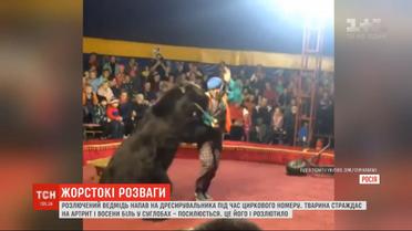 Больной медведь от боли напал на дрессировщика в цирке России