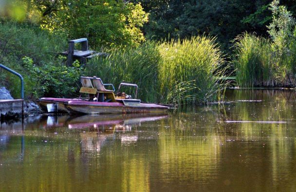 Фото: nmsk.dp.ua