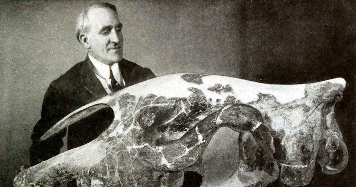 Препарат Отто Фалькенбах с черепом Paraceratherium transouralicum.