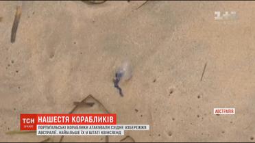 Португальські кораблики атакували східне узбережжя Австралії