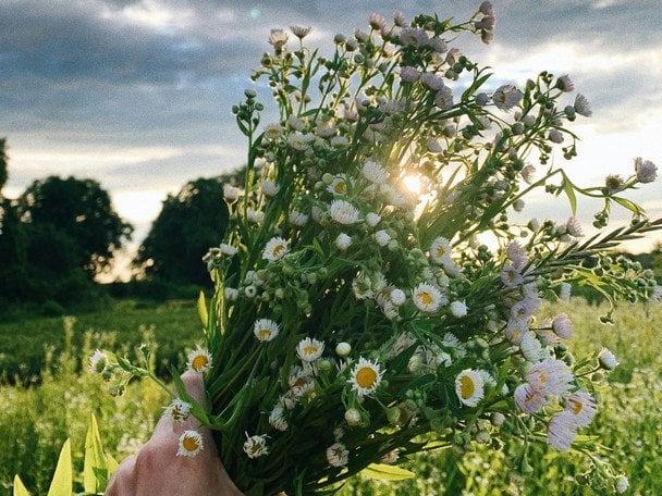 День ангела 4 липня — душевні привітання в прозі / © unsplash.com