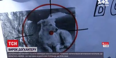 Вирок для докхантера: Шевченківський райсуд виправдав чоловіка, який труїв безпритульних собак