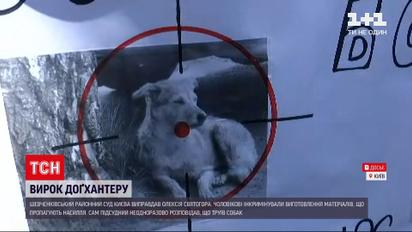 Вирок для докхантера: Шевченківський райсуд виправдав чоловіка, який труїв безпритульних собак
