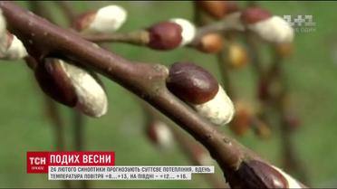 До України на один день увірветься тепла весняна погода